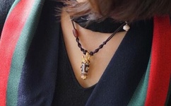 人物动物交互免费看